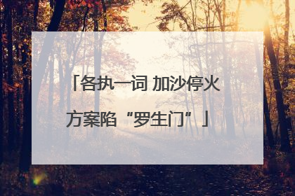 各执一词 加沙停火方案陷“罗生门”